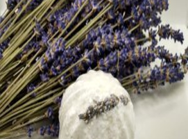 Wellness Analysis and Relaxation