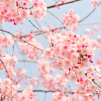 Are You Doing A Spring Detox?