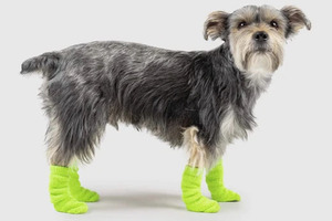 Don't Buy Socks Just for Style