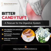 Are You Suffering from Gas and Bloating and Why?