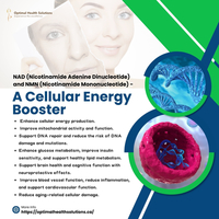 How to Boost Your Anti-aging Engine at the Cellular Level?